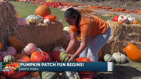 the patch santa maria photos|The Patch returns for another fall season in Santa Maria Valley.